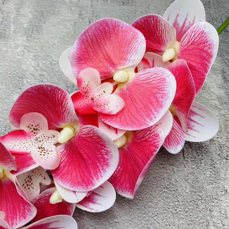 Загружен программно: img_1427.jpg