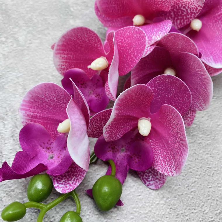 Загружен программно: img_1429.jpg