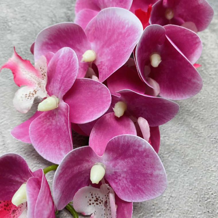 Загружен программно: img_1431.jpg