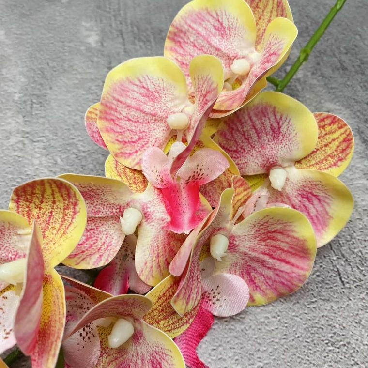 Загружен программно: img_1433.jpg