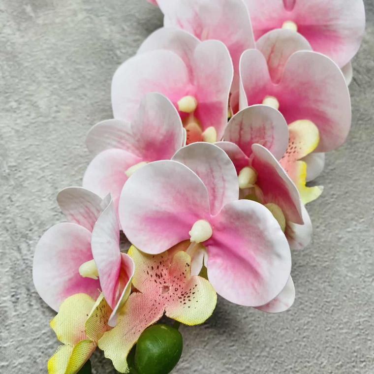 Загружен программно: img_1437.jpg