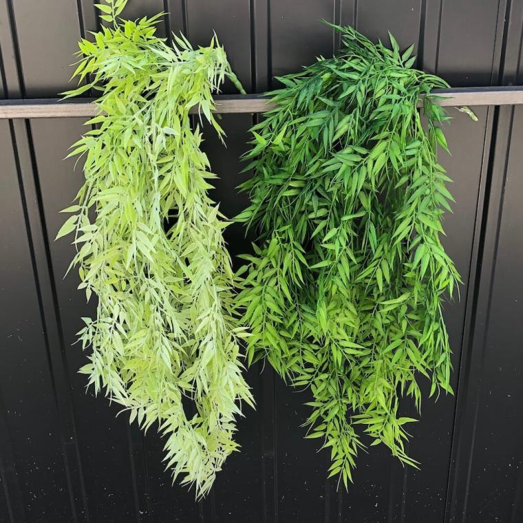 Загружен программно: img_1469_0.jpg