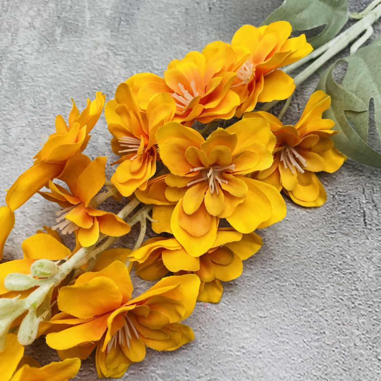 Загружен программно: img_1471.jpg