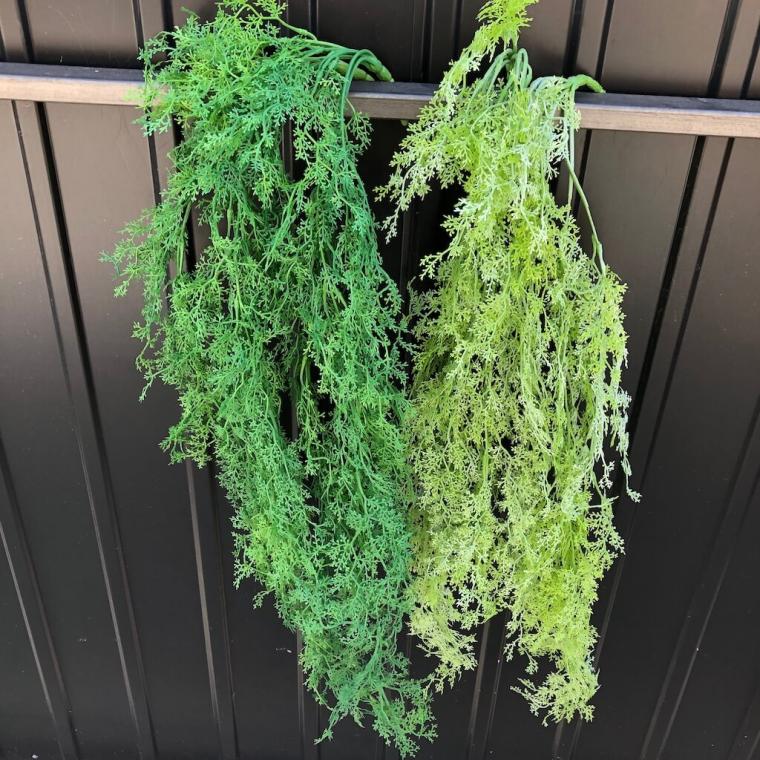 Загружен программно: img_1475.jpg