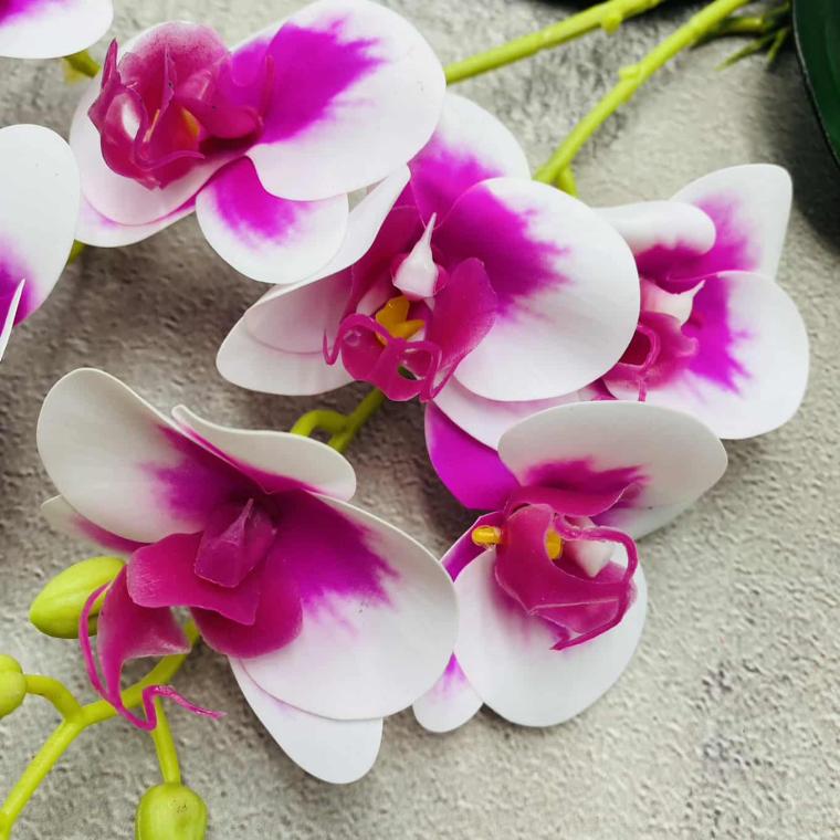 Загружен программно: img_1487.jpg