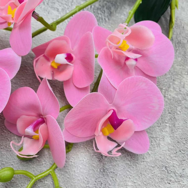 Загружен программно: img_1489.jpg