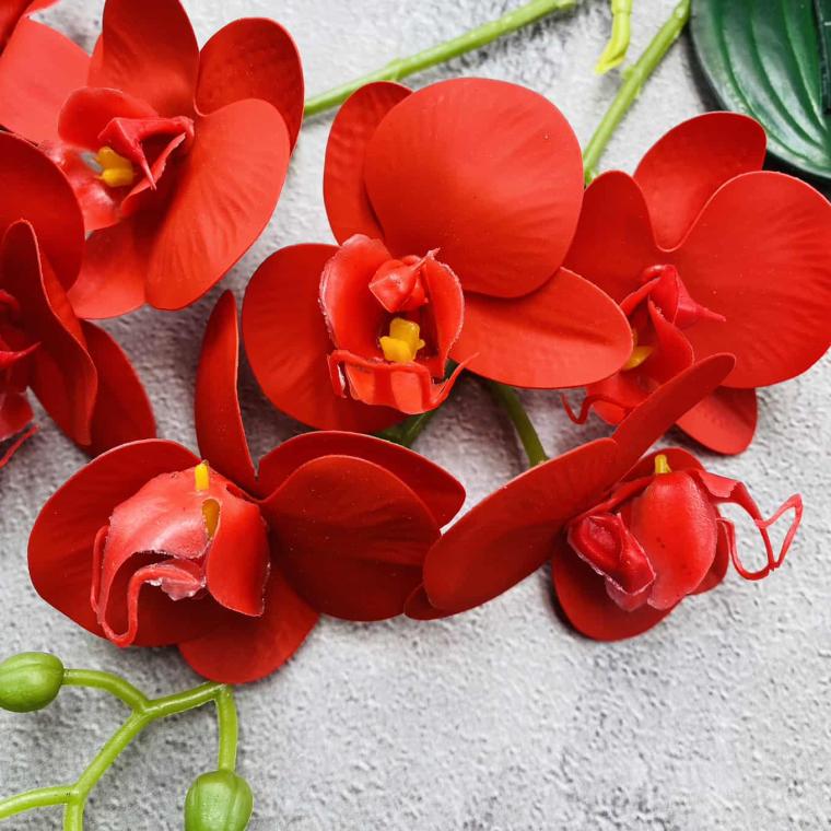 Загружен программно: img_1491.jpg