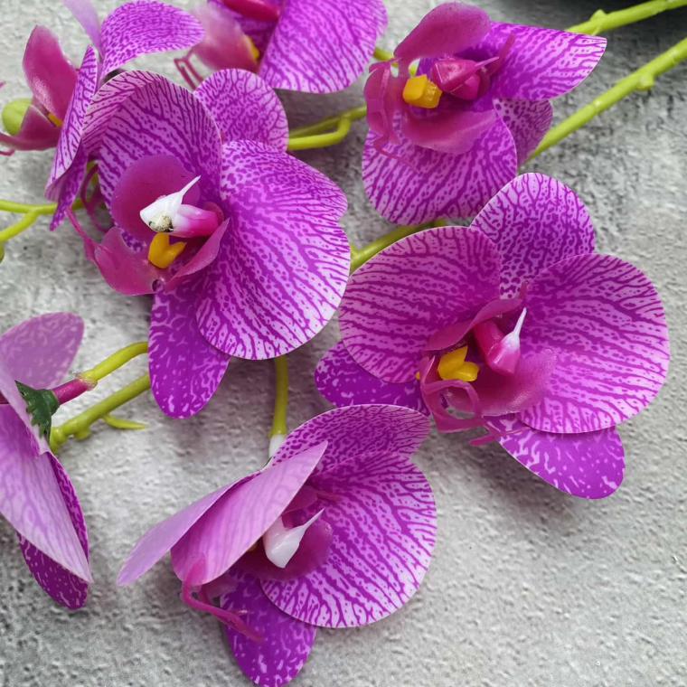 Загружен программно: img_1493.jpg