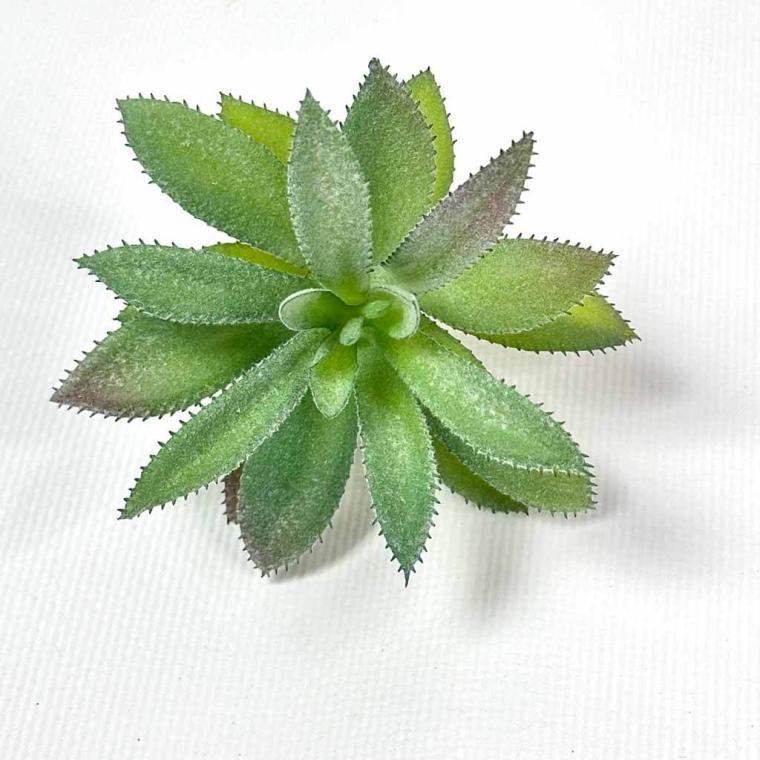 Загружен программно: img_1506.jpg