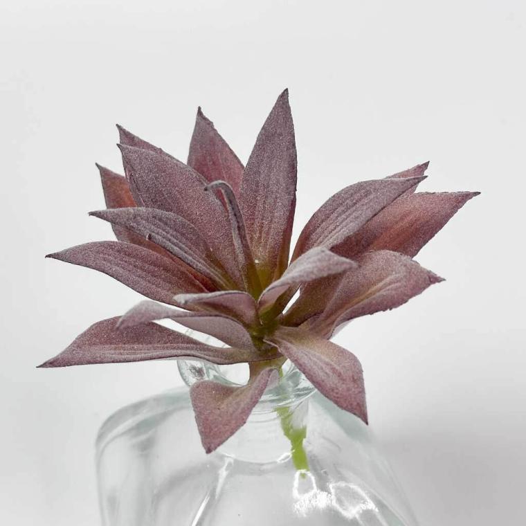 Загружен программно: img_1510.jpg