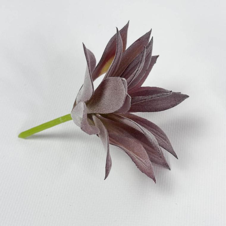 Загружен программно: img_1511.jpg