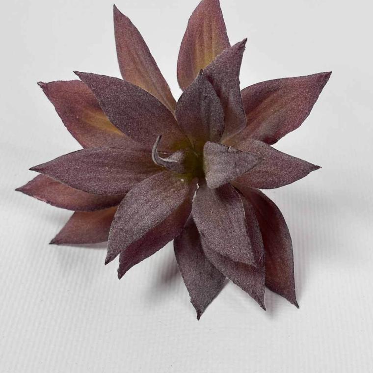 Загружен программно: img_1512.jpg