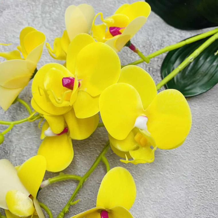 Загружен программно: img_1514.jpg