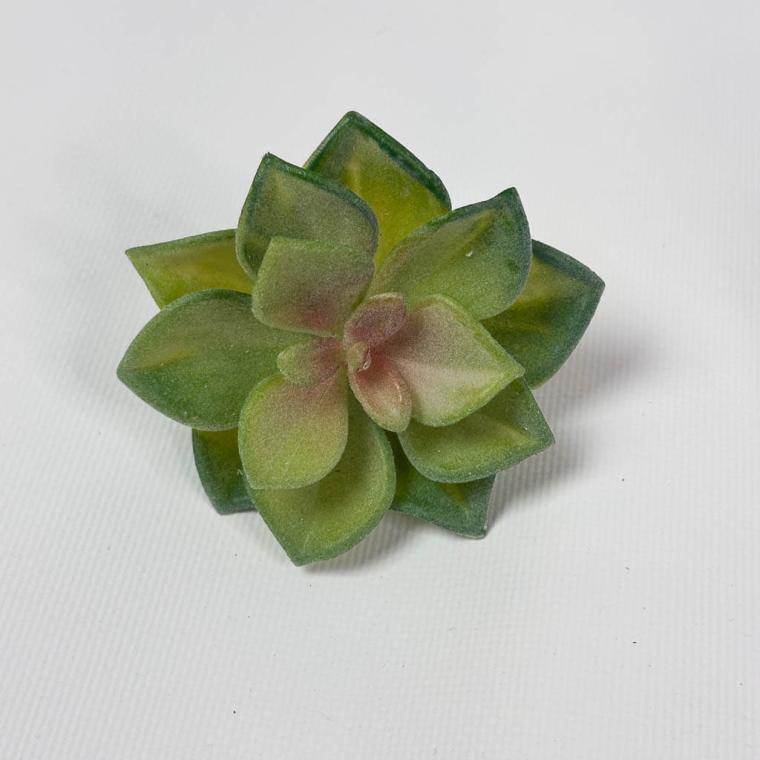 Загружен программно: img_1517.jpg