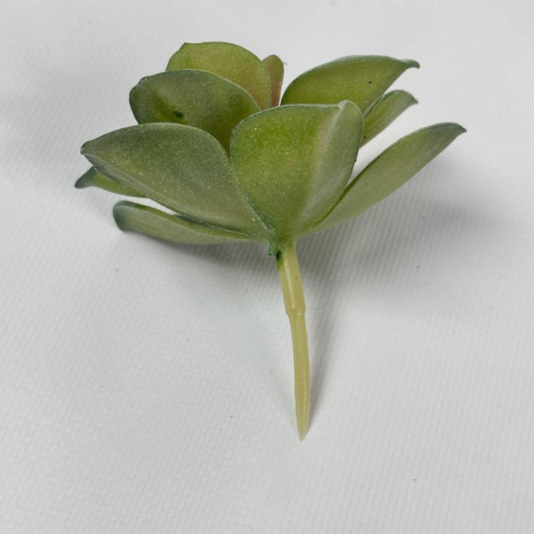 Загружен программно: img_1518.jpg