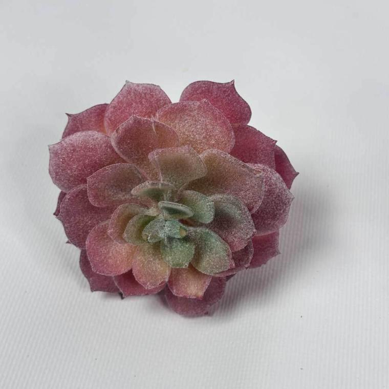 Загружен программно: img_1520.jpg