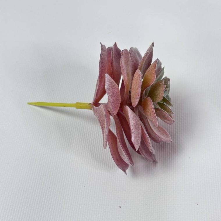 Загружен программно: img_1521.jpg