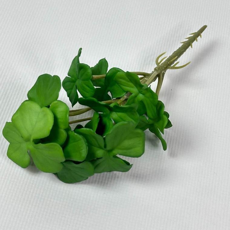 Загружен программно: img_1529.jpg