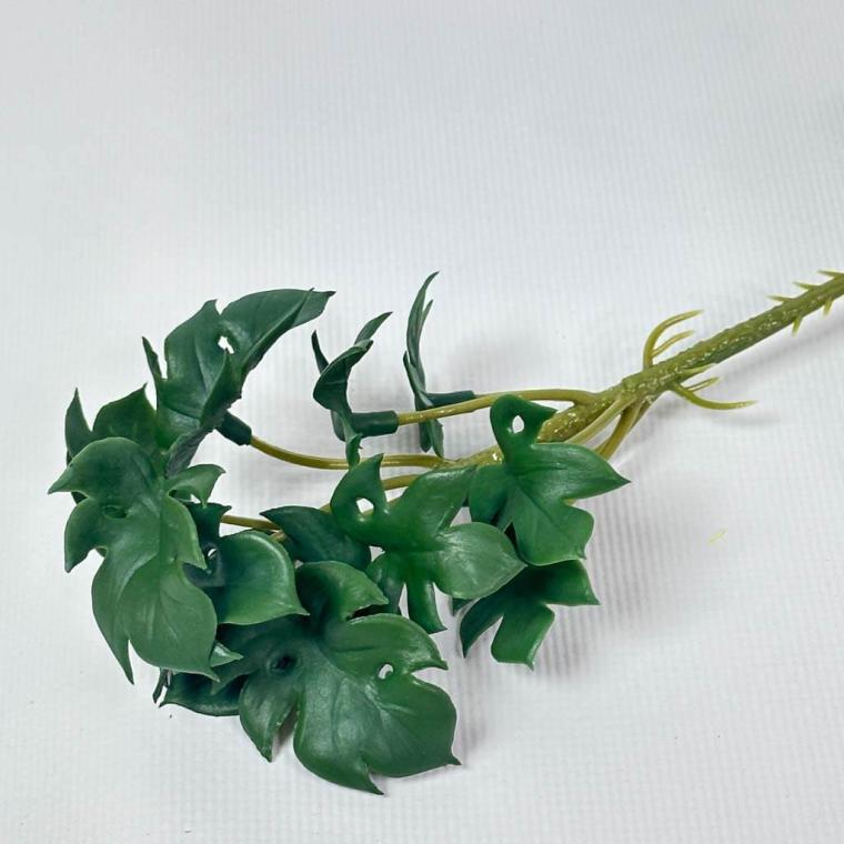 Загружен программно: img_1538.jpg