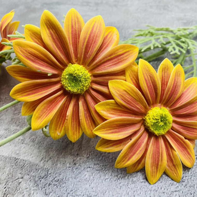 Загружен программно: img_1540.jpg