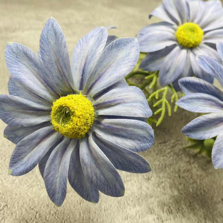 Загружен программно: img_1542.jpg