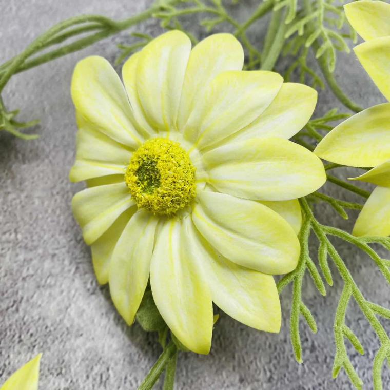 Загружен программно: img_1546.jpg