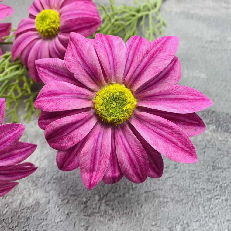 Загружен программно: img_1548.jpg