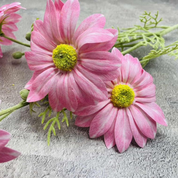 Загружен программно: img_1550.jpg