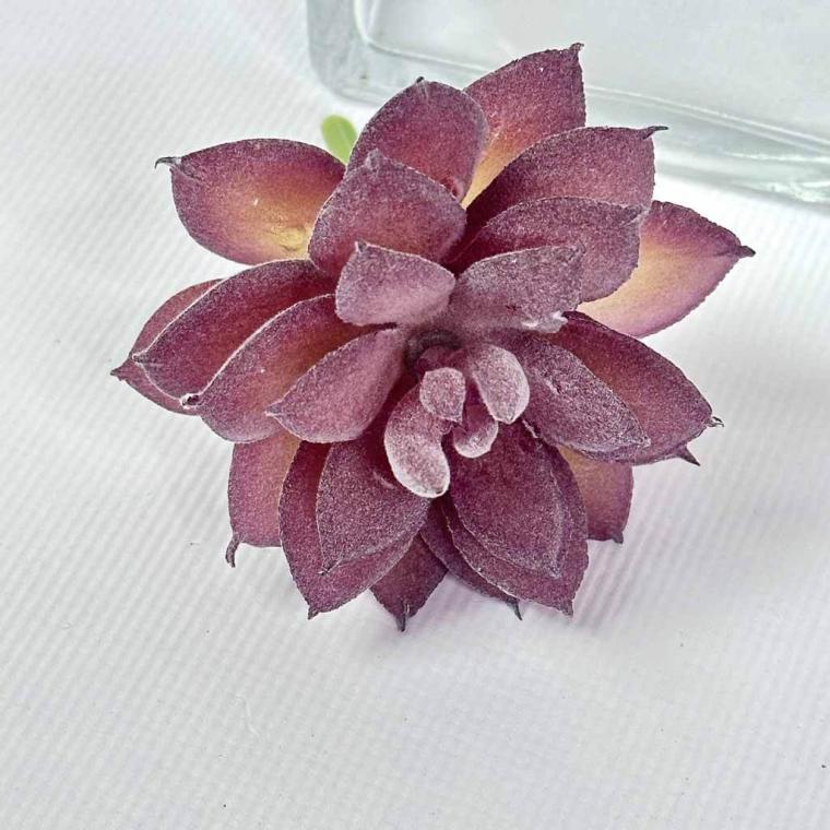 Загружен программно: img_1551.jpg