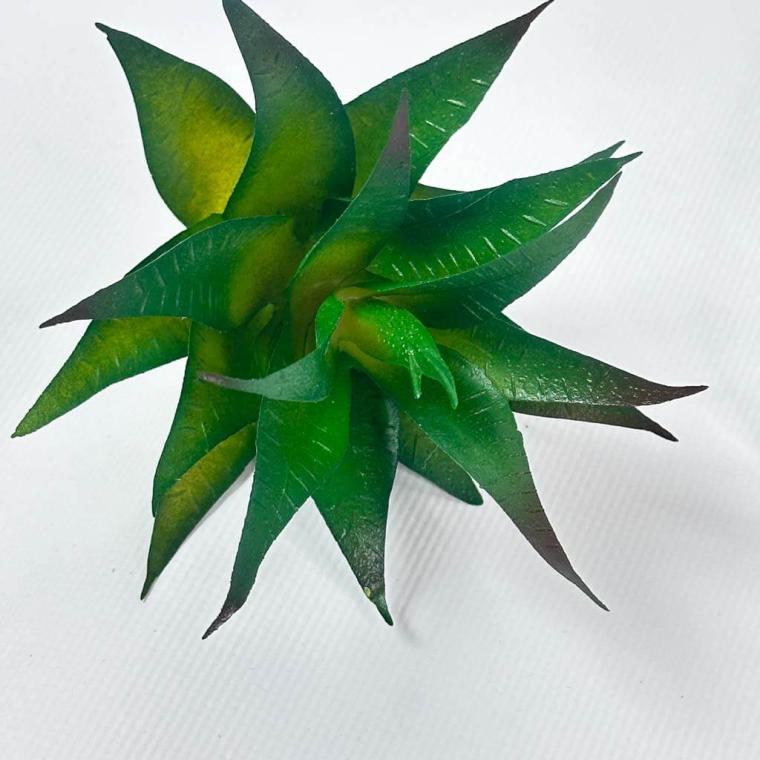 Загружен программно: img_1555_0.jpg