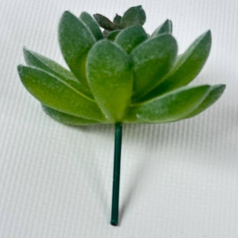 Загружен программно: img_1563.jpg