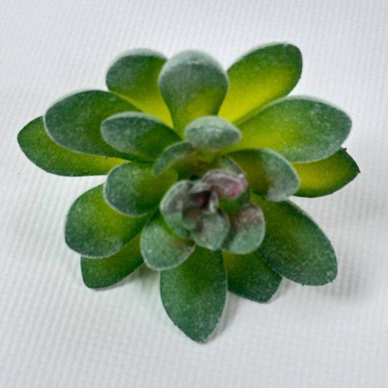 Загружен программно: img_1564.jpg