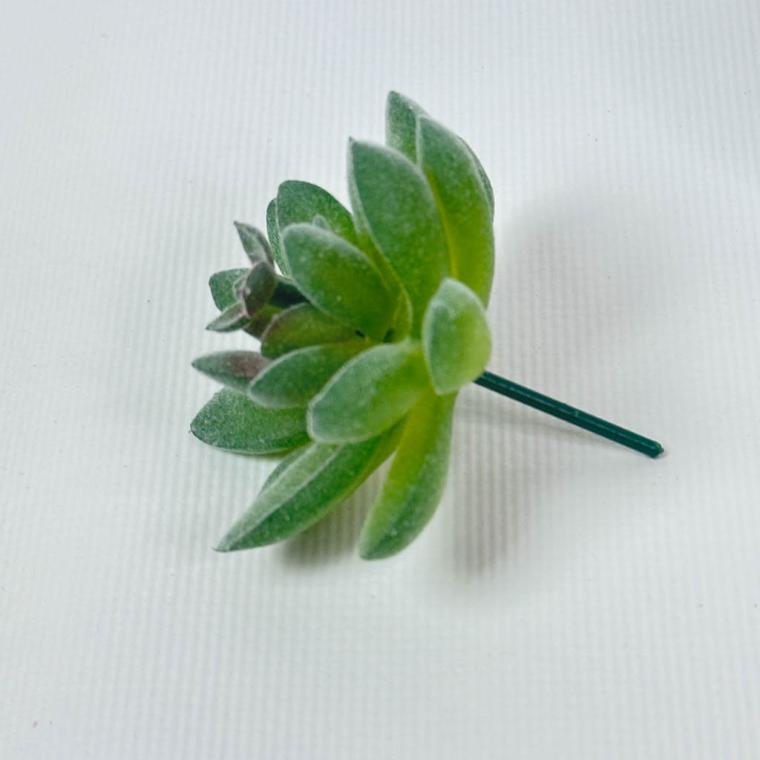 Загружен программно: img_1565.jpg