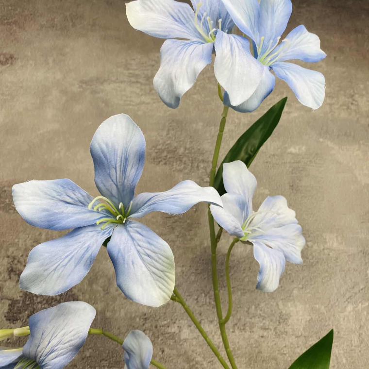 Загружен программно: img_1583.jpg