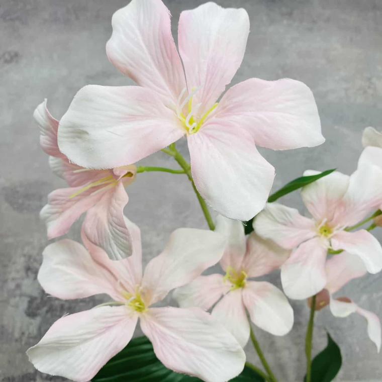 Загружен программно: img_1585.jpg