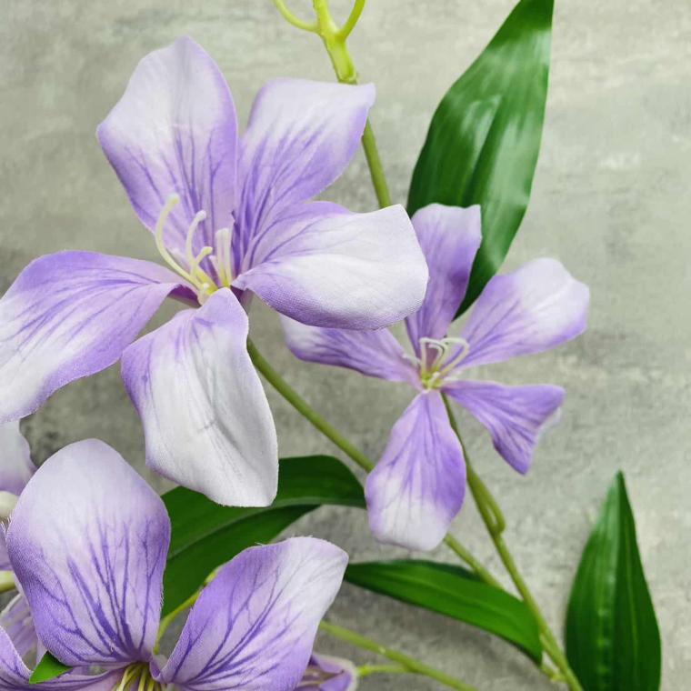 Загружен программно: img_1587.jpg