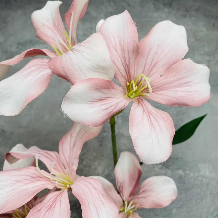 Загружен программно: img_1589.jpg