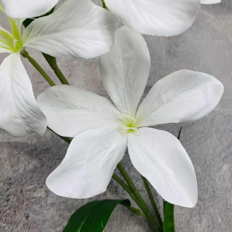 Загружен программно: img_1591.jpg