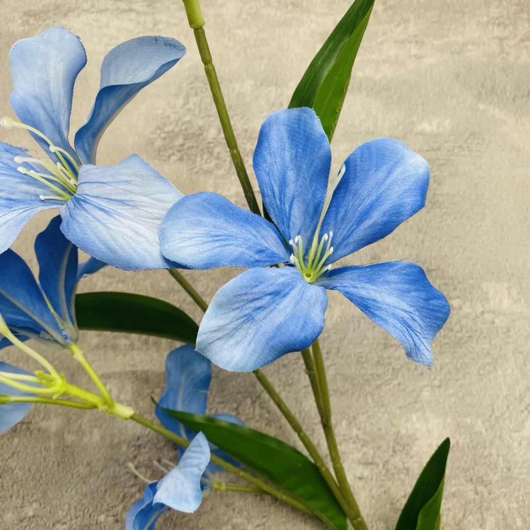 Загружен программно: img_1593.jpg