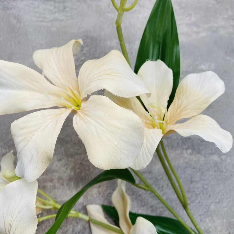 Загружен программно: img_1596.jpg