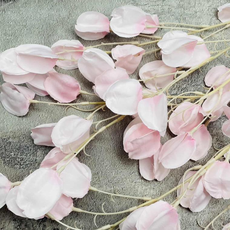 Загружен программно: img_1614.jpg