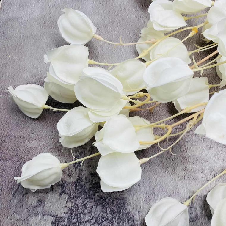 Загружен программно: img_1617.jpg