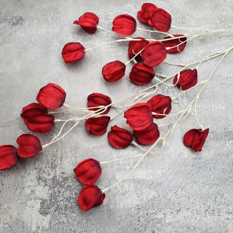 Загружен программно: img_1619.jpg