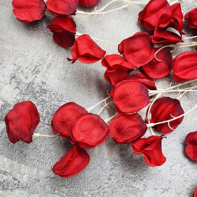 Загружен программно: img_1620.jpg