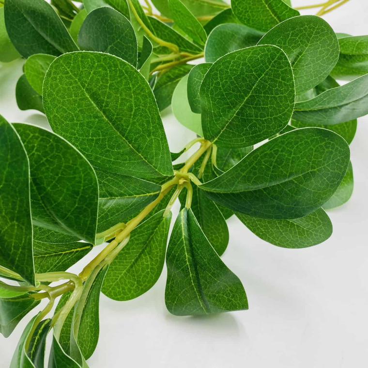 Загружен программно: img_1659.jpg