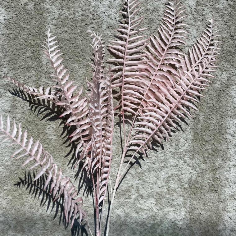 Загружен программно: img_1695.jpg