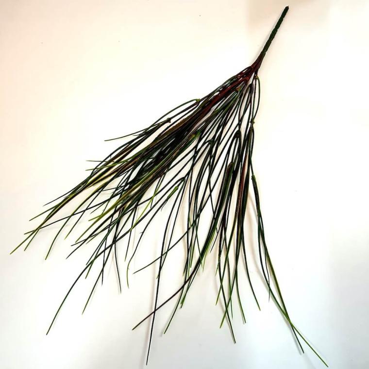 Загружен программно: img_1788.jpeg