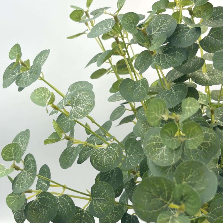 Загружен программно: img_1818.jpg