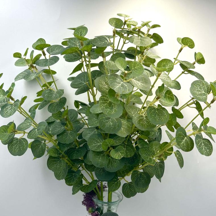 Загружен программно: img_1819.jpg