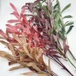 Загружен программно: img_1820_3.jpg